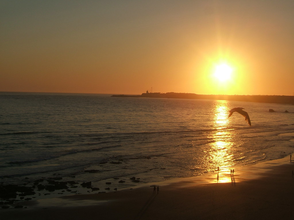 Fuente del Gallo - Conil de la Frontera