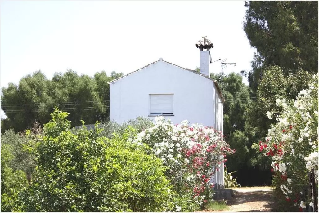 El Soto, vejer de la Frontera