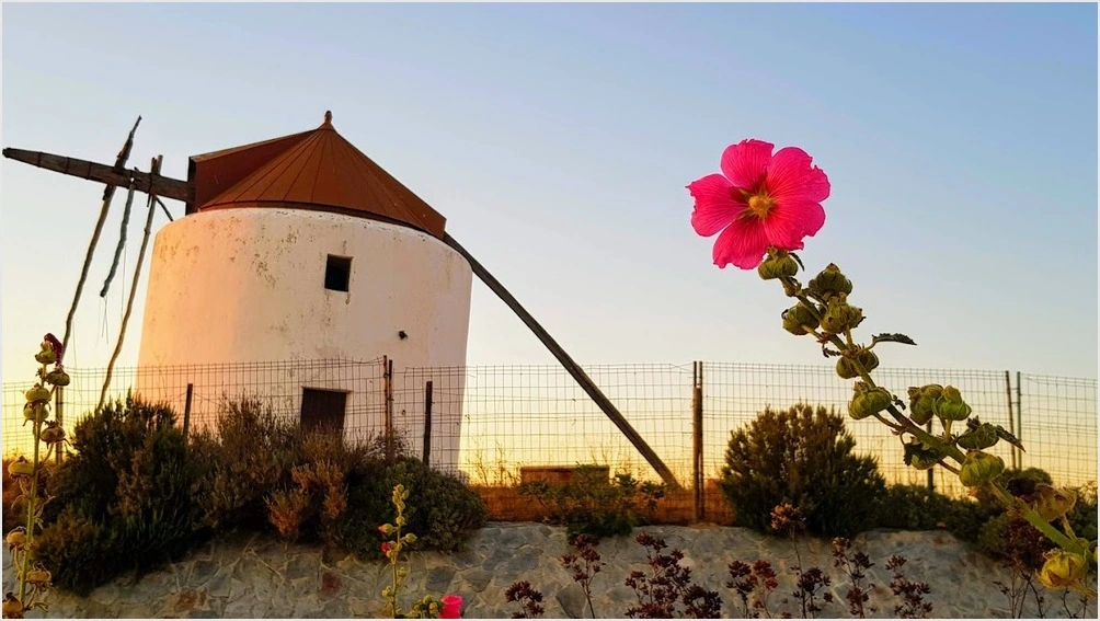 Il Macinino Vejer de la Frontera