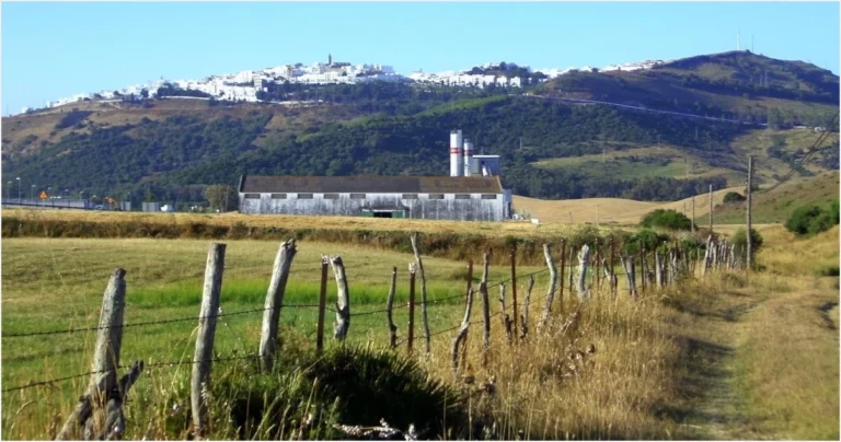 Nájara, Vejer de la Frontera