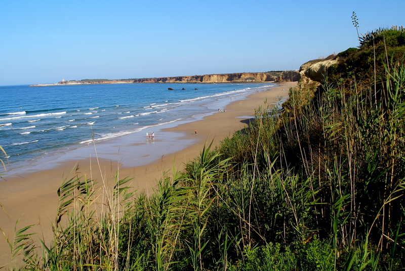 playa conil alquiler vacacional